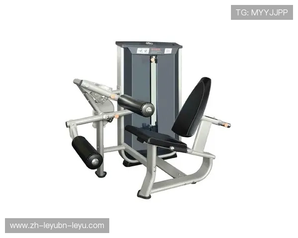 坐式家用健身器材的种类与使用场景全指南