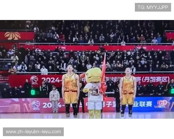 青岛双星篮球队近况揭秘这支CBA球队为何备受关注